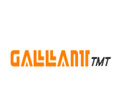 Gallantt Metal Ltd.